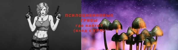 гидра Беломорск