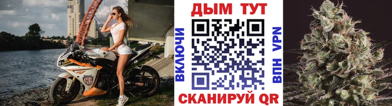 купить наркотики сайты  Сковородино  Конопля гибрид 